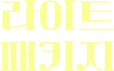 라이트 패키지