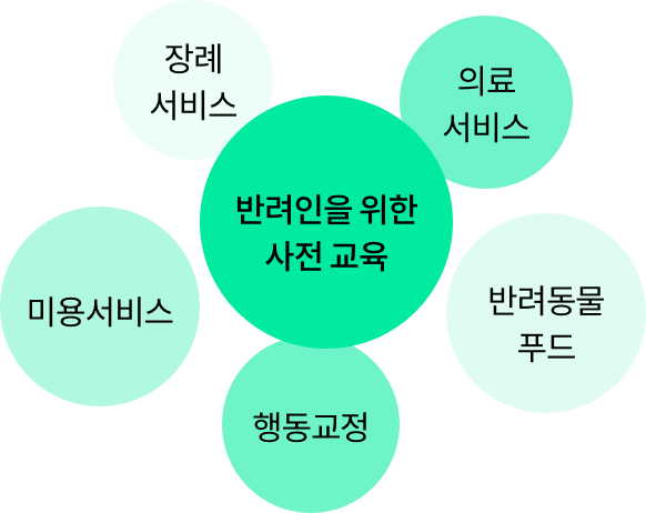 반려견을 위한 사전 교육, 장례 서비스, 의료 서비스, 미용서비스. 행동교정, 반려동물 푸드